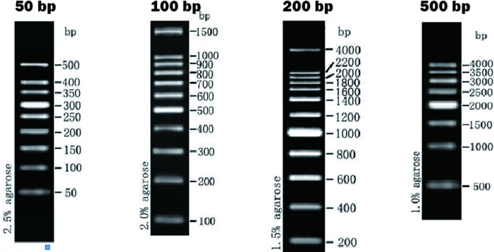 50bp, 100bp, 200bp, 500bp DNA Marker 50bp, 100bp, 200bp, 500bp DNA Marker